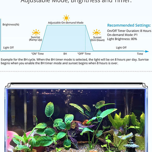 NICREW 18” - 24” AquaLux 24/7 LED Aquarium Light