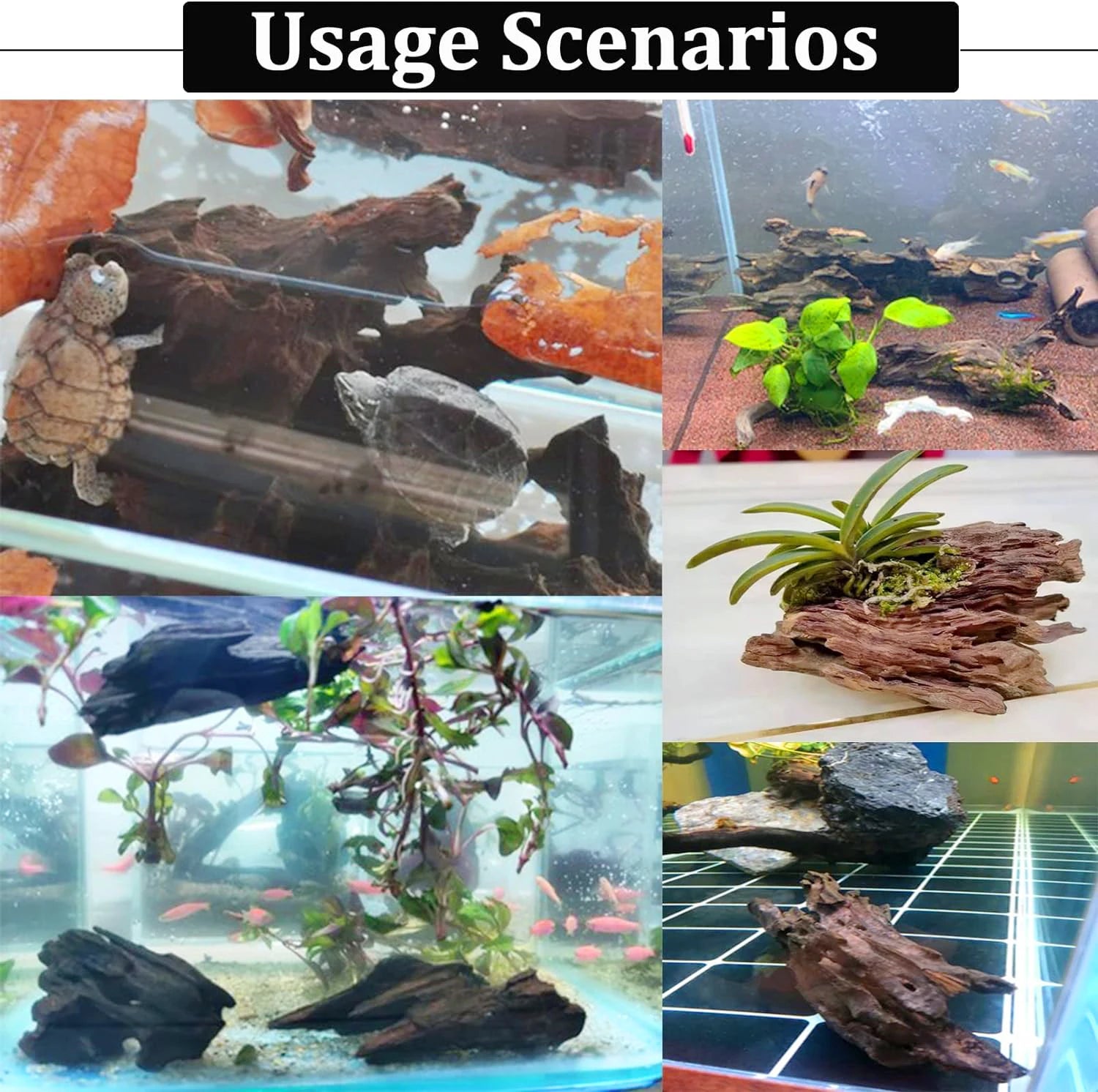 aquarium wood natural large driftwood Fish tank Shrimp wood Fish rest hole Fish Tank Drift wood Tree Trunk Drift wood Aquarium